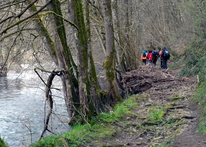 La Rose Sur Meuse Haybes